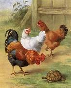 unknow artist Cocks 104 oil painting reproduction